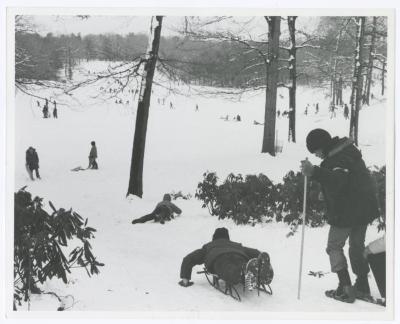 Bethpage State Park Ski/Sled Slope