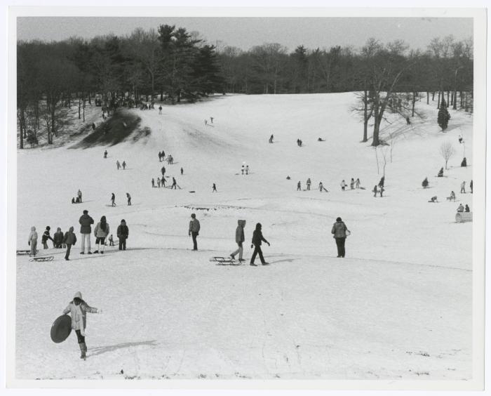 Bethpage State Park Ski/Sled Slope
