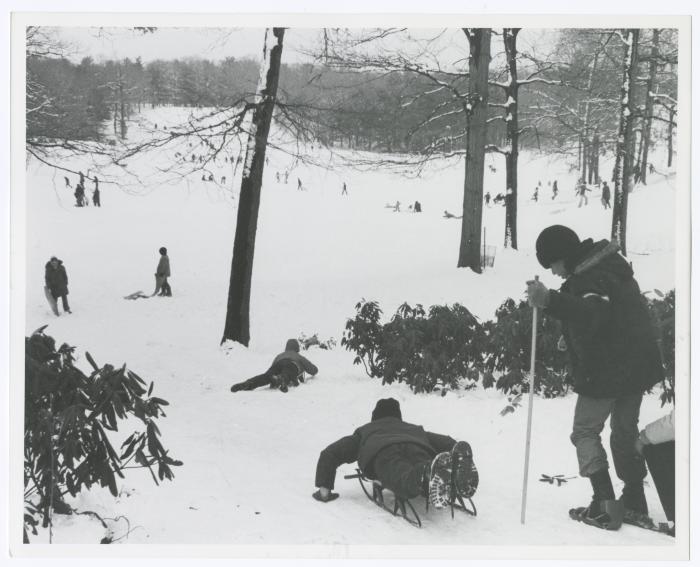 Bethpage State Park Ski/Sled Slope