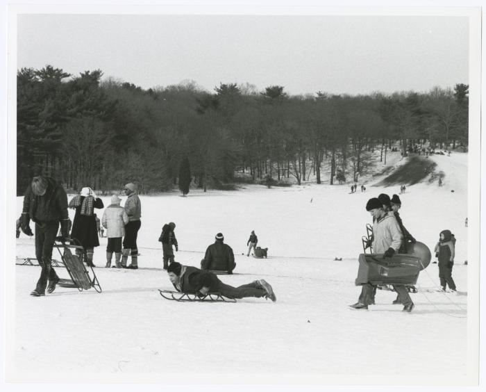 Bethpage State Park Ski/Sled Slope