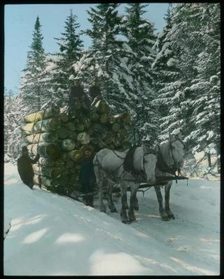 Logging. Logging Sled in the Adirondacks.