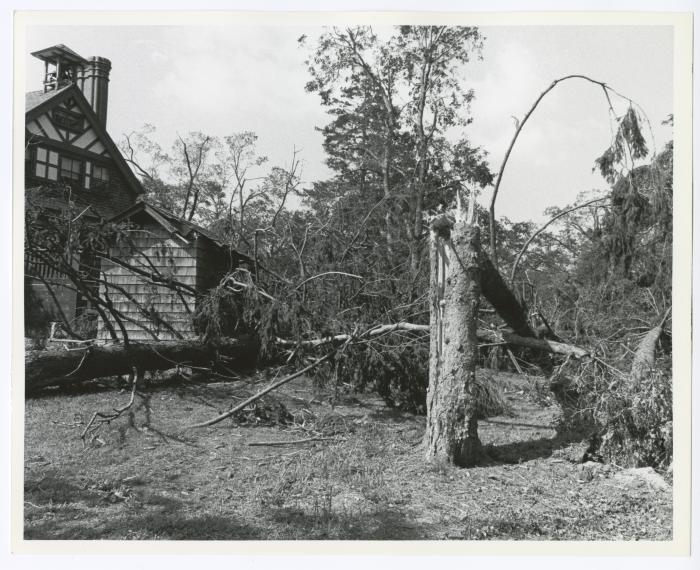 Hurricane Damage, Bayard Cutting Arboretum