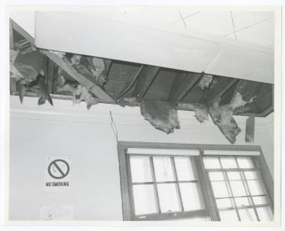 Valley Stream State Park, Park Office Fire, March 9-10, 1986