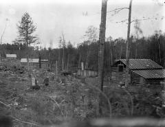 Lumber Camp in Canadian Pine Woods
