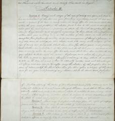 Second Constitution of the State of New York, Article II