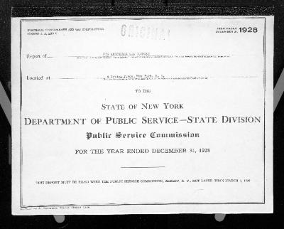 Public utilities annual report of New Amsterdam Gas Company, 1928