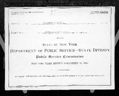 Public utilities annual report of New Amsterdam Gas Company, 1928
