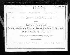 Public utilities annual report of New Amsterdam Gas Company, 1930