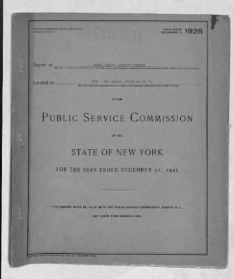 Public utilities annual report of Kings County Lighting Company, 1925