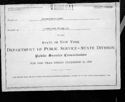 Public utilities annual report of New Amsterdam Gas Company, 1929