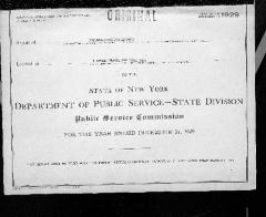 Public utilities annual report of New Amsterdam Gas Company, 1929