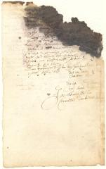 Declaration of Catelina Trico and Sara Rappaille as to the conduct of Tryn Jonas, midwife, when sent for by Nan Beets