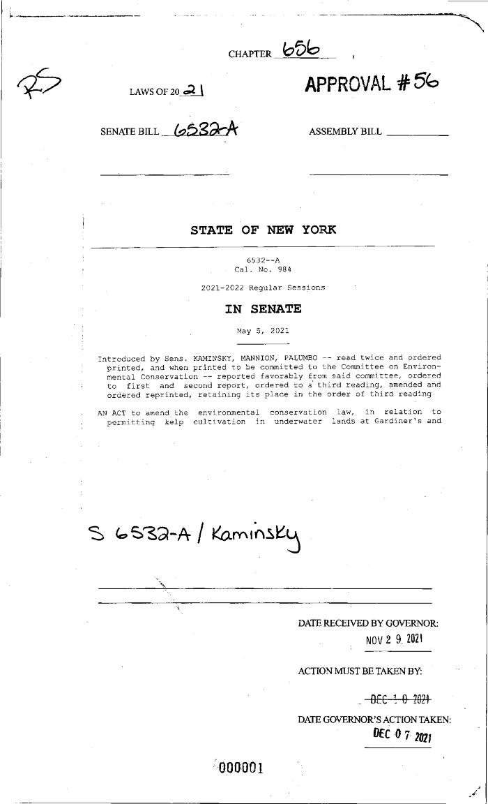 NYS Bill and Veto Jackets: 2021, Chapter 656