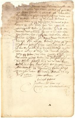Declaration of Pieter van der Linde and Hendrick Pietersen respecting the shooting of a hog in the woods