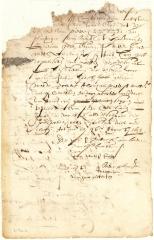 Declaration of Barent Dircksen and others that the hogs of Pieter van der Linden have destroyed the garden of Tonis Cray