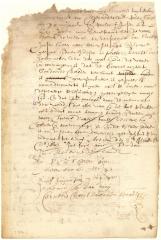 Declaration of Pieter Cock and Roeloff Jansen that since the destruction of Achter Col by the Indians there has been no chance to inspect the place