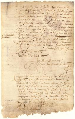 Notice of appeal from the judgment of the director and council against the master of the ship St. Pieter