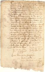 Declaration of Daem Hendricksen and Symon Woutersen as to the testamentary disposition made by Hans Meyster in favor of Hans Boer