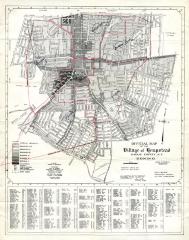 Elementary shool zone map for the village of Hempstead