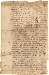 Lease from Cornelis van Tienhoven to Crigier Pisker and Gerrit Serdts of a parcel of land at Breuckelen, Long Island