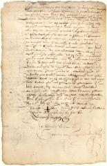 Declaration by Symon Roodt and others that two Minqua chiefs stated that the Swedish governor on the South river had offered to sell them arms and ammunition and had asked permission to erect a trading-house