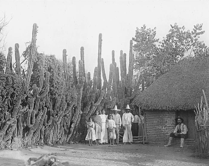 Mexico.  House of Sun Dried Brick and Thatched Roof