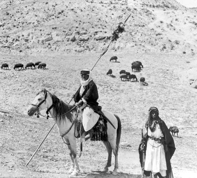 Syria.  Sheik Guard, Mounted on Gray Horse