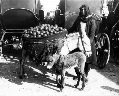 Syria.  Damascus.  An Orange Seller