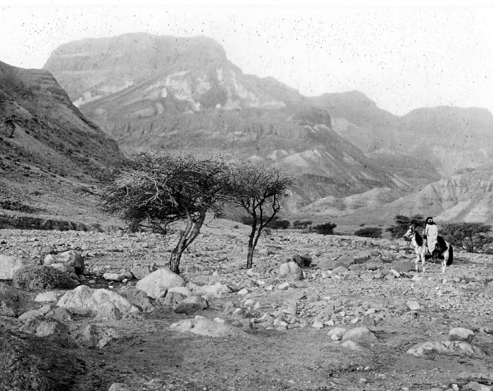 Syria.  Judean Wilderness.  A Typical Valley, view West