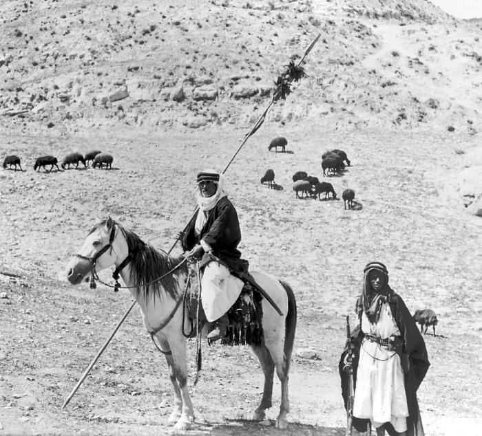 Syria.  Sheik Guard, Mounted on Gray Horse