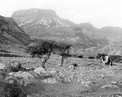 Syria.  Judean Wilderness.  A Typical Valley, view West