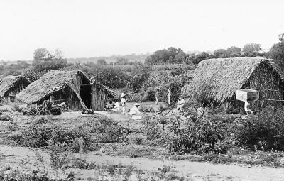 Mexico.  Rude Huts of Lower Class Mexicans on the Plain near Monterey