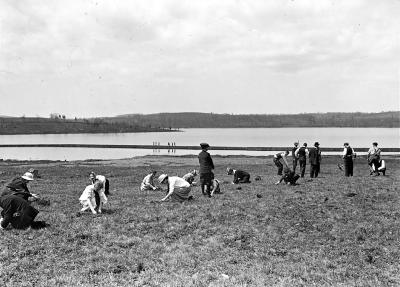 School Planting. Newburgh, NY