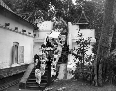 Ceylon - Sacred Bo Tree