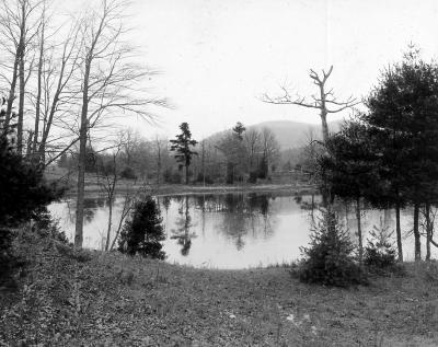 Bloody Pond, looking Northeast