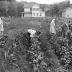 Girls Working In Garden, Chatham, N.Y.