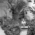 Venezuela.  Typical Patio (inner open court) of House of a Wealthy Family, Four Persons.  Caracas