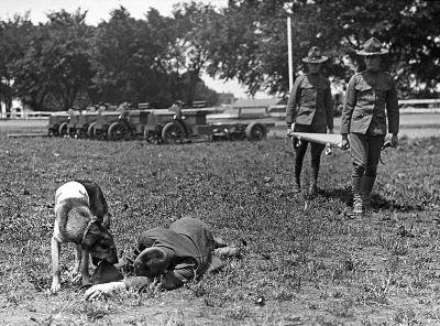 Dog Finding a "Wounded" Man in the Field. Two Men Bringing Stretcher