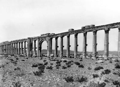 Syria.  Palmyra  (Tudmur).  Great Colonnade from the South