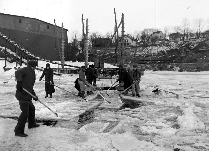 Ice Harvesting. Pulling Cakes Of Ice on Hudson River