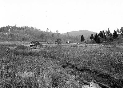 Civil War. South View From Wheatfield Road at Gettysburg