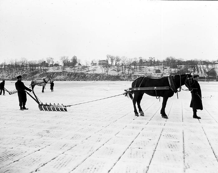 Ice Harvesting. Plowing the Ice on the Hudson River.