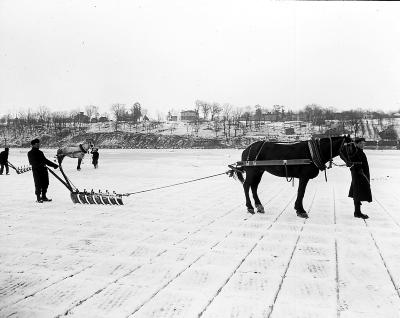 Ice Harvesting. Plowing the Ice on the Hudson River.