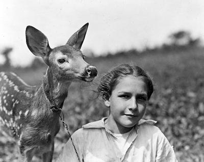 Nature. Girl and Fawn