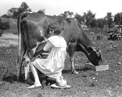 Animals - Girl Milking Cow