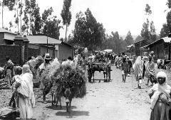 Addis Ababa, Ethiopia - Typical Street Scene: Natives, Loaded Donkey, Mules Drawing Cart