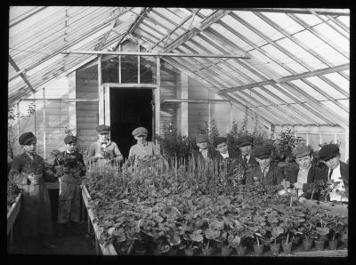 School Gardens. Class of Boys in Greenhouse, Potted Plants. Fairview Garden School, Yonkers, N.Y.