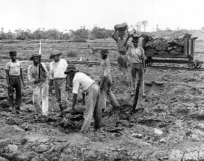 West Indies - Black workers digging and hauling asphalt