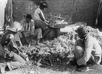 Brazil - Natives Scraping Manioc Roots