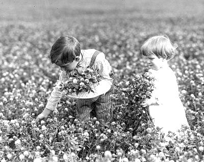 Nature - Boy and Girl Picking Flowers